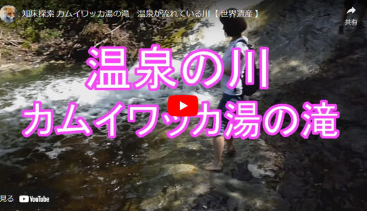 カムイワッカ湯の滝 温泉が流れている川【 世界遺産 】